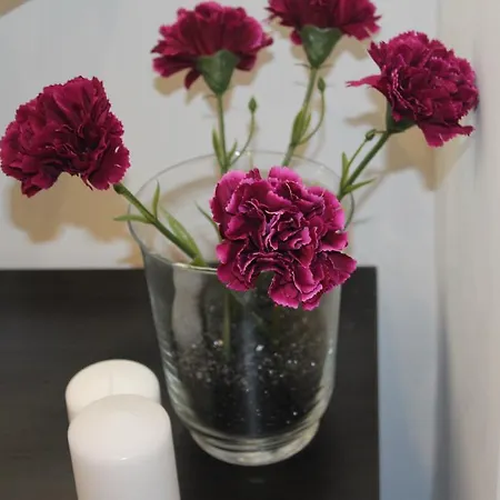 Heart Santa Marta * Lisboa